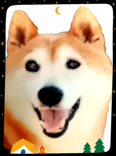 SW2.0 シバーク・ケント