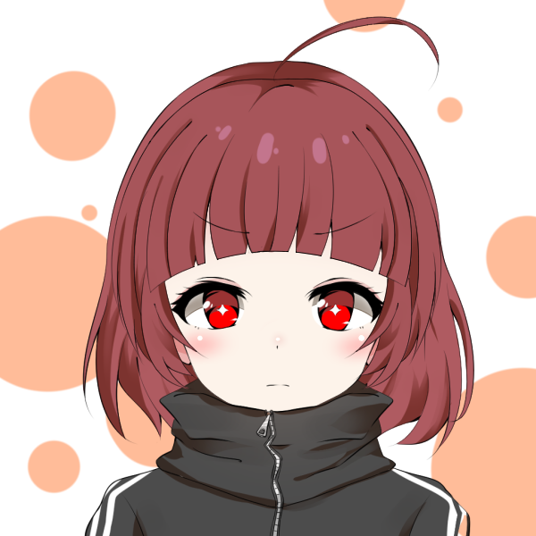 SW2.0 リーンX(type:secret lean killer X)