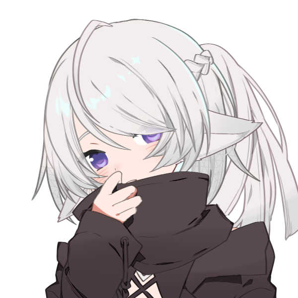 SW2.0 ティア＝フォクト