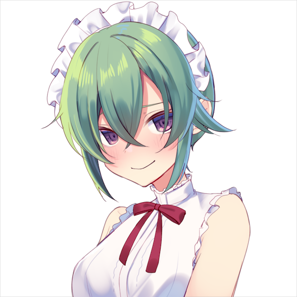 SW2.0 ハオルチア・ハワース