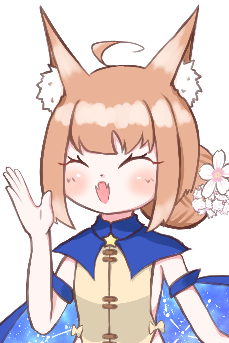 SW2.0 タペタム・マキュラム