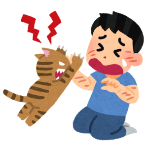 キャラクタ画像